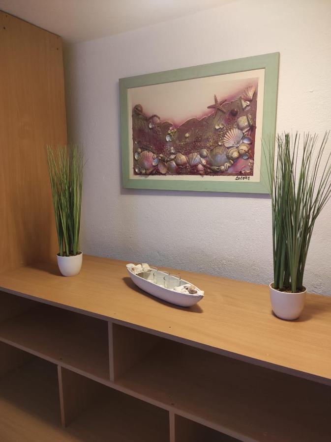 Studio Apartment Petrov ชิเบนิก ภายนอก รูปภาพ